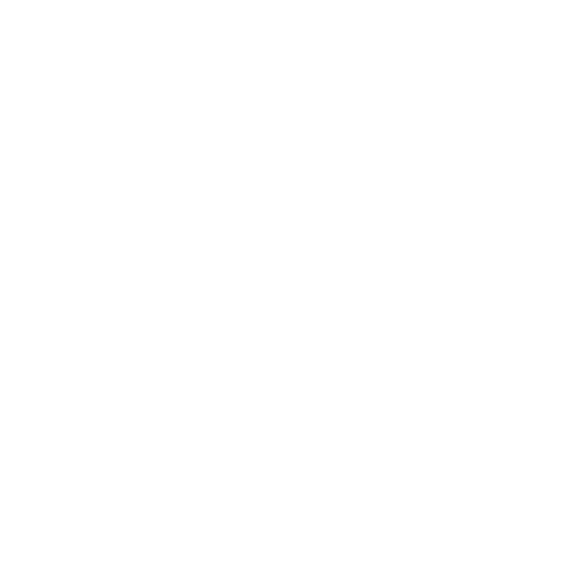 Processor